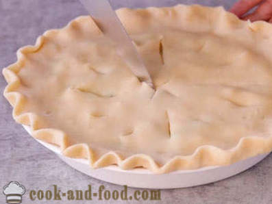 Chicken pies - a collection of recipes