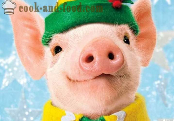 What to prepare for the New Year 2019 Year of the Pig - New Year's menu on the Year of the Pig, or Boar, recipes with photos