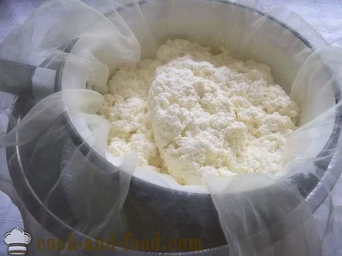 Cheese cheese from the milk home - how to make cheese at home, step by step recipe photos