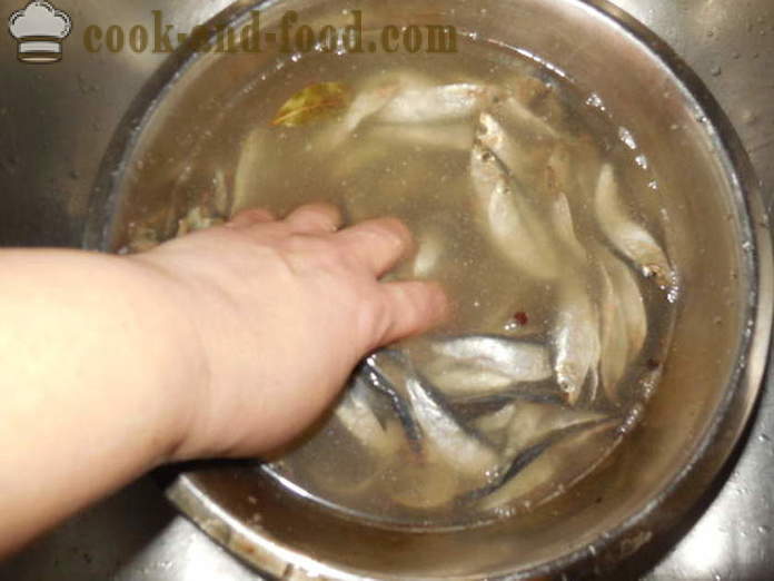 Dry ambassador sprat - how to pickle sprat in the home is tasty and fast, step by step recipe photos