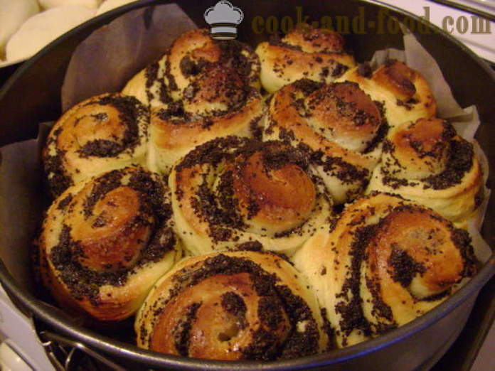 Delicious cake with poppy seed yeast dough - how to cook a cake with poppy seeds of roses, step by step recipe photos