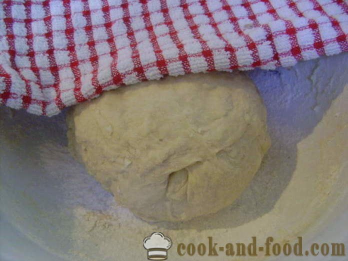 Yeast dough for fried pies with milk - how to prepare yeast dough for pies, fried, with a step by step recipe photos