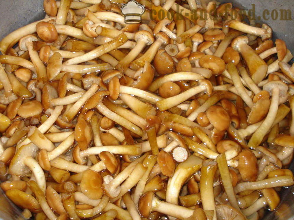 Mushroom spawn - how to cook mushroom spawn of boiled mushrooms, step by step recipe photos