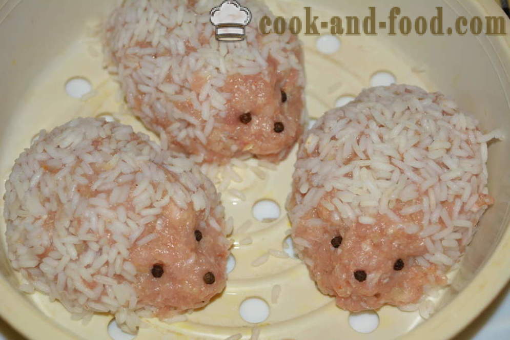 Hedgehogs tasty minced meat with rice for a couple - how to cook meat with rice hedgehogs in multivarka, step by step recipe photos