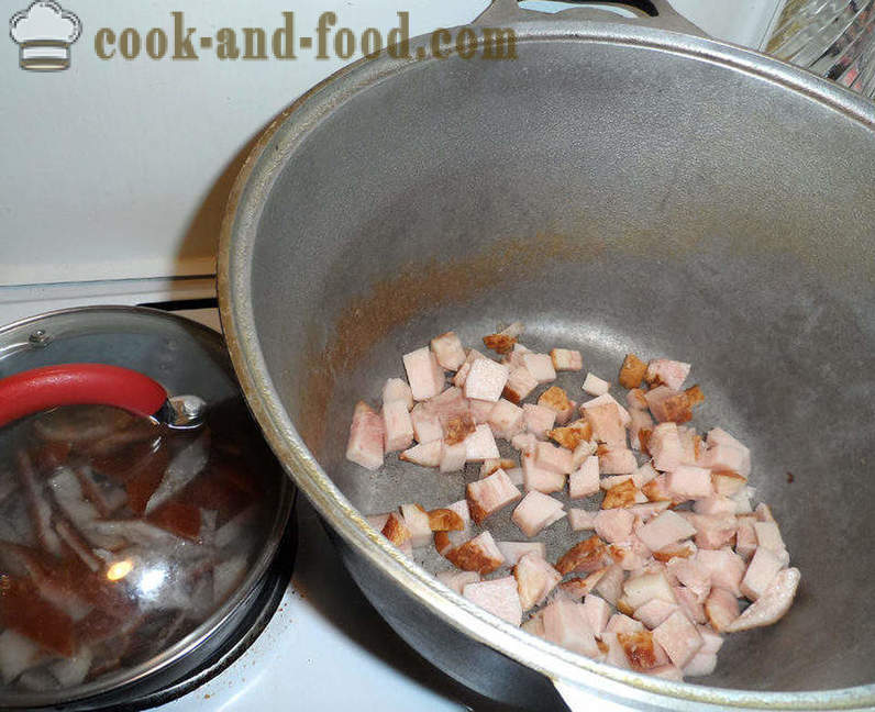 Bigus with cabbage, meat and mushrooms - how to cook properly Bigus, a step by step recipe photos