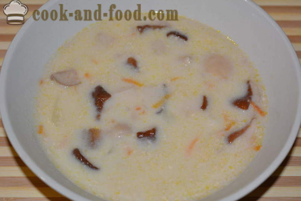 Soup of white fresh mushrooms with cream cheese - how to cook mushroom soup with fresh mushrooms and cheese, with a step by step recipe photos