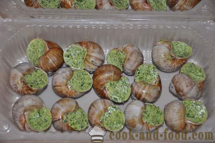 Preparation of snails at home - how to prepare snails delicious recipe with a photo