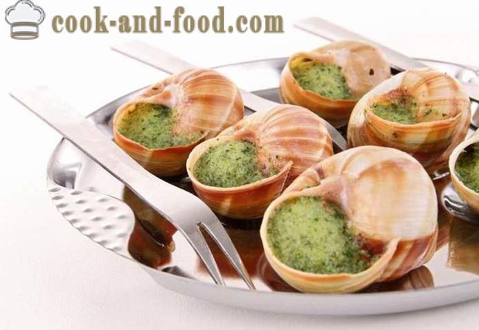 Preparation of snails at home - how to prepare snails delicious recipe with a photo