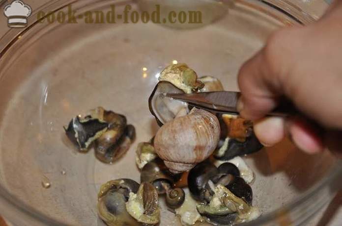 Preparation of snails at home - how to prepare snails delicious recipe with a photo