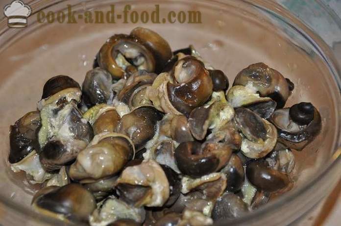 Preparation of snails at home - how to prepare snails delicious recipe with a photo