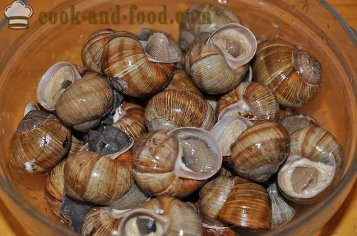 Preparation of snails at home - how to prepare snails delicious recipe with a photo