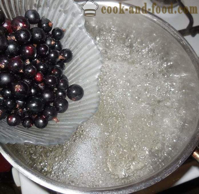 Fruit jelly currant berries, mulberries, apricots and starch - how to cook jelly berries and starch, with a step by step recipe photos