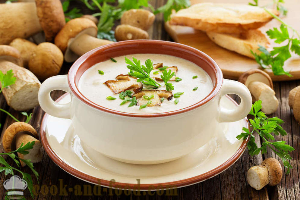 White mushroom soup: two recipes of delicious dishes