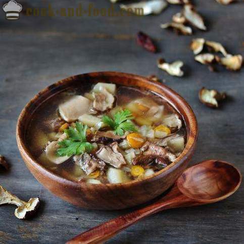 Recipe for mushroom soup with white mushrooms and pasta - video recipes at home