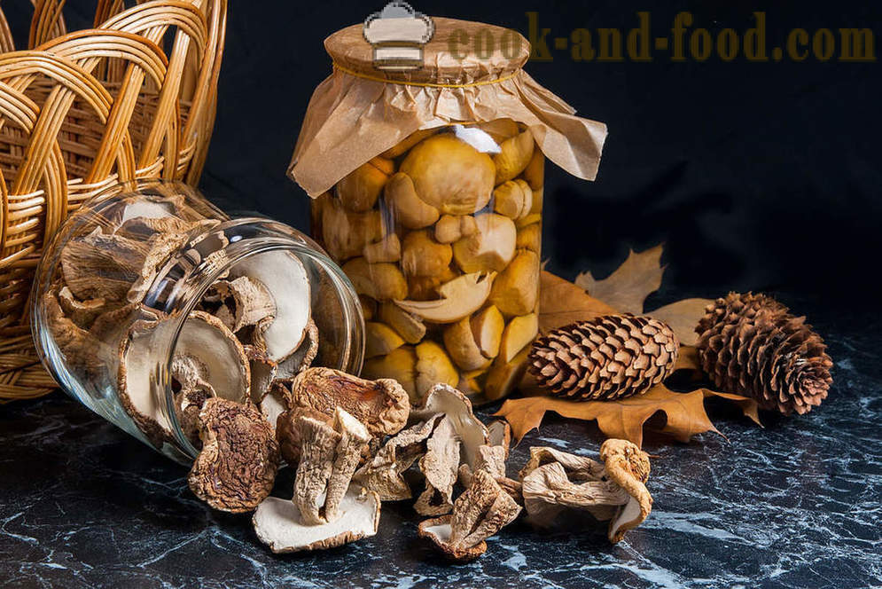 Recipes of dried mushrooms - video recipes at home