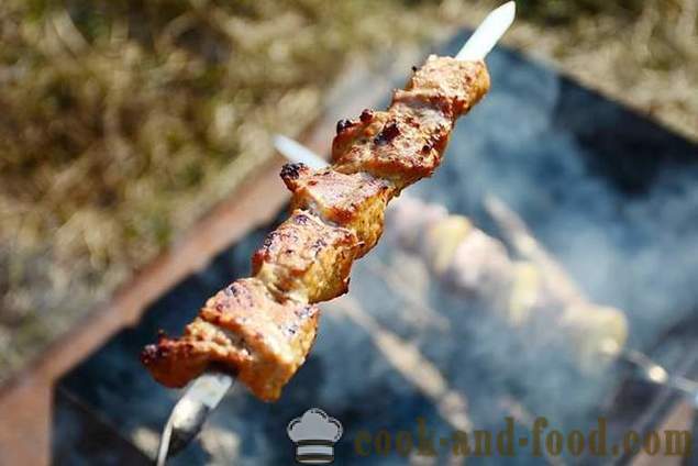 5 best recipes barbeque - video recipes at home