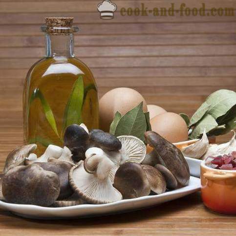 Dishes with mushrooms: three simple recipe - video recipes at home