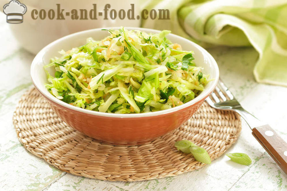 Recipes salad of fresh cabbage