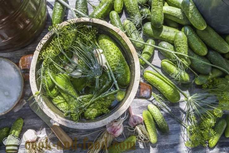 Salted cucumbers 5 proven recipes